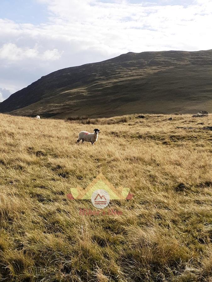 Villa Hiker'S Den, Brigham, Cockermouth, Cumbria Esterno foto